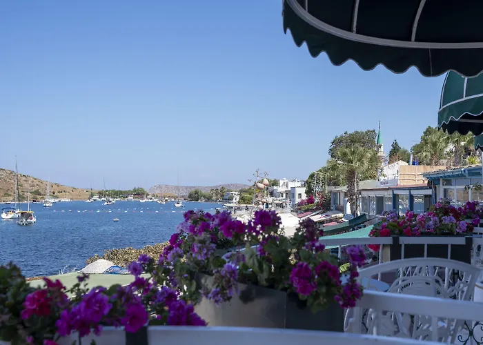 Hotel Liman - Adult Only Gümüşlük